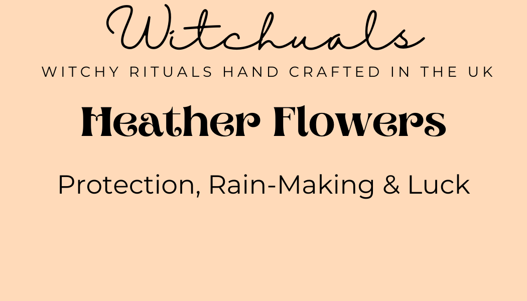 Witchuals - Rituals & Spellwork Apothecary - Vente Accessoire de méditation - Fleurs de bruyère4