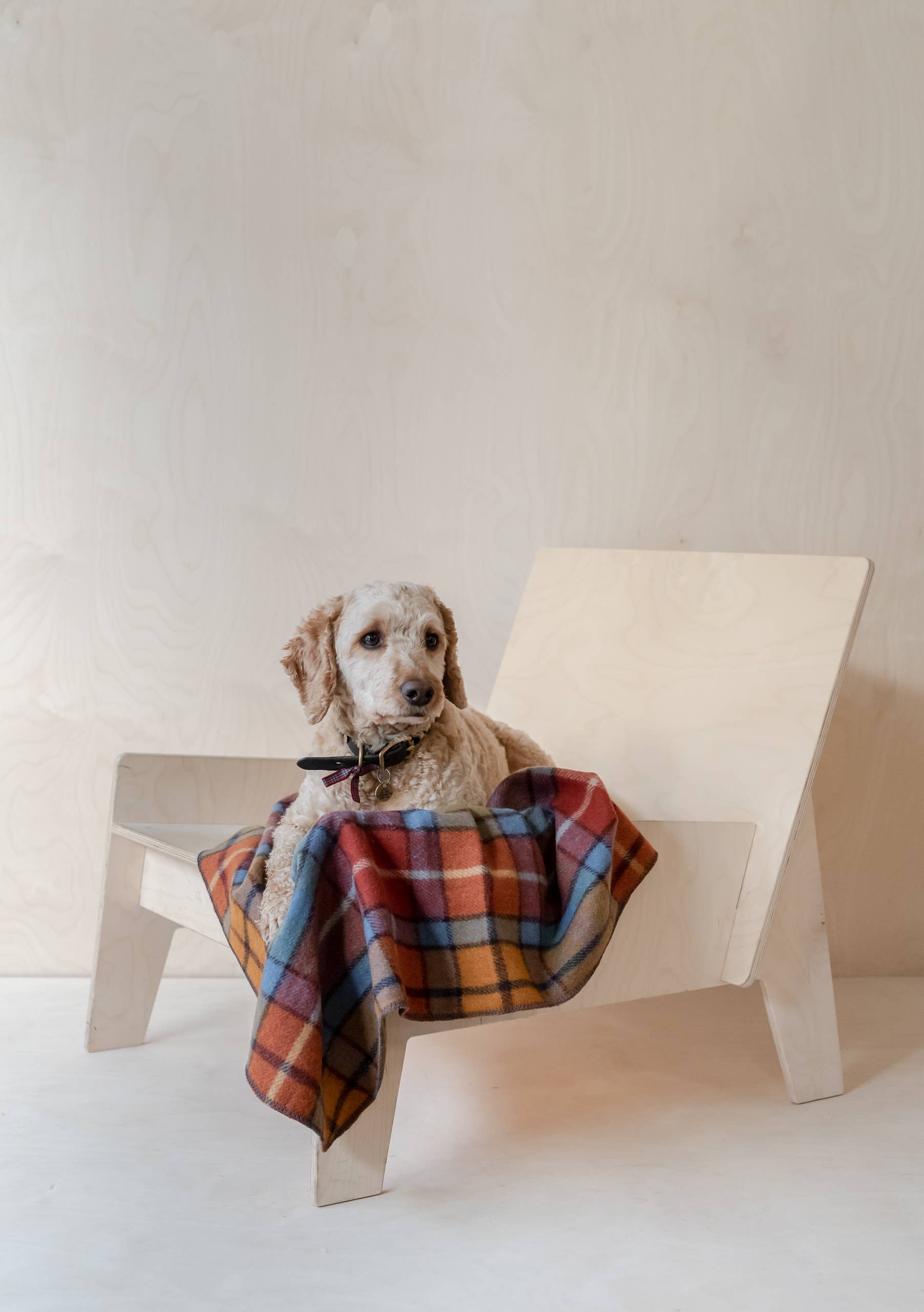 Buchanan Natural Small Blanket  Recycled Wool Tartan Blankets Online