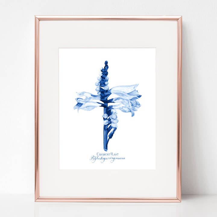 LA DÉCOUVERTE DANS LE TEMPLE, PLANTE OBÉISSANTE, Psychostegia virginiana, EN BLEU pour la vente par Rose Harrington