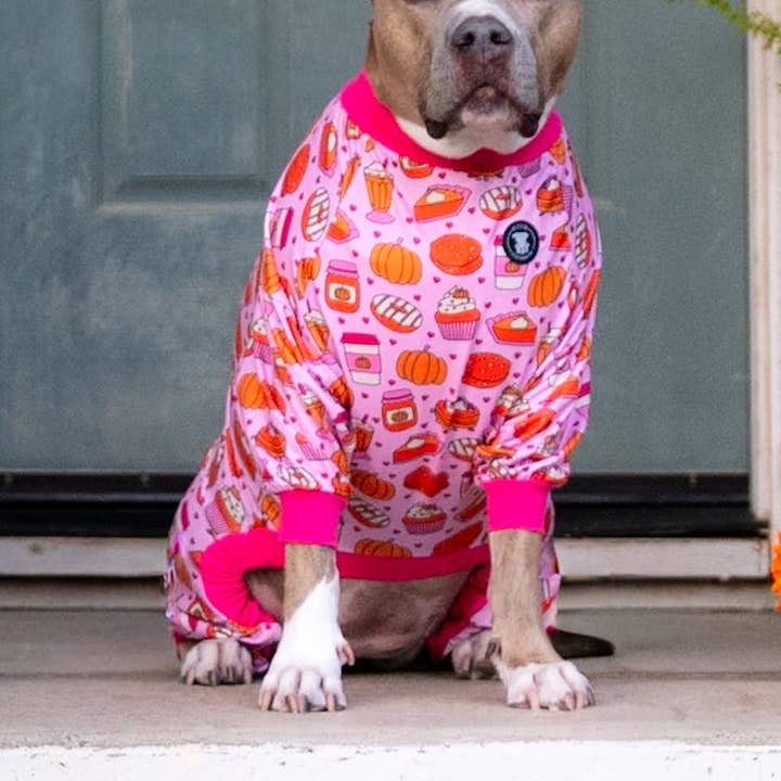 Pawtumn Pumpkin Treats Pitbull Pajamas for wholesale by Pittie Clothing Co.