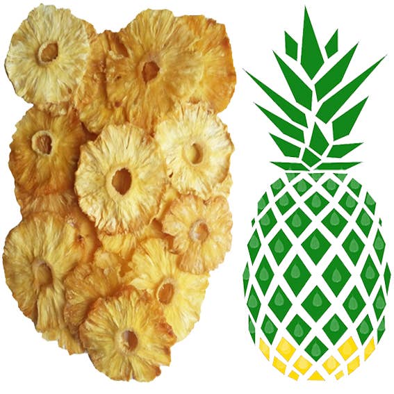 BIOGOUT – wholesale Torkad frukt – Ekologisk torkad ananas, utan tillsatt socker - paket med 10x100g