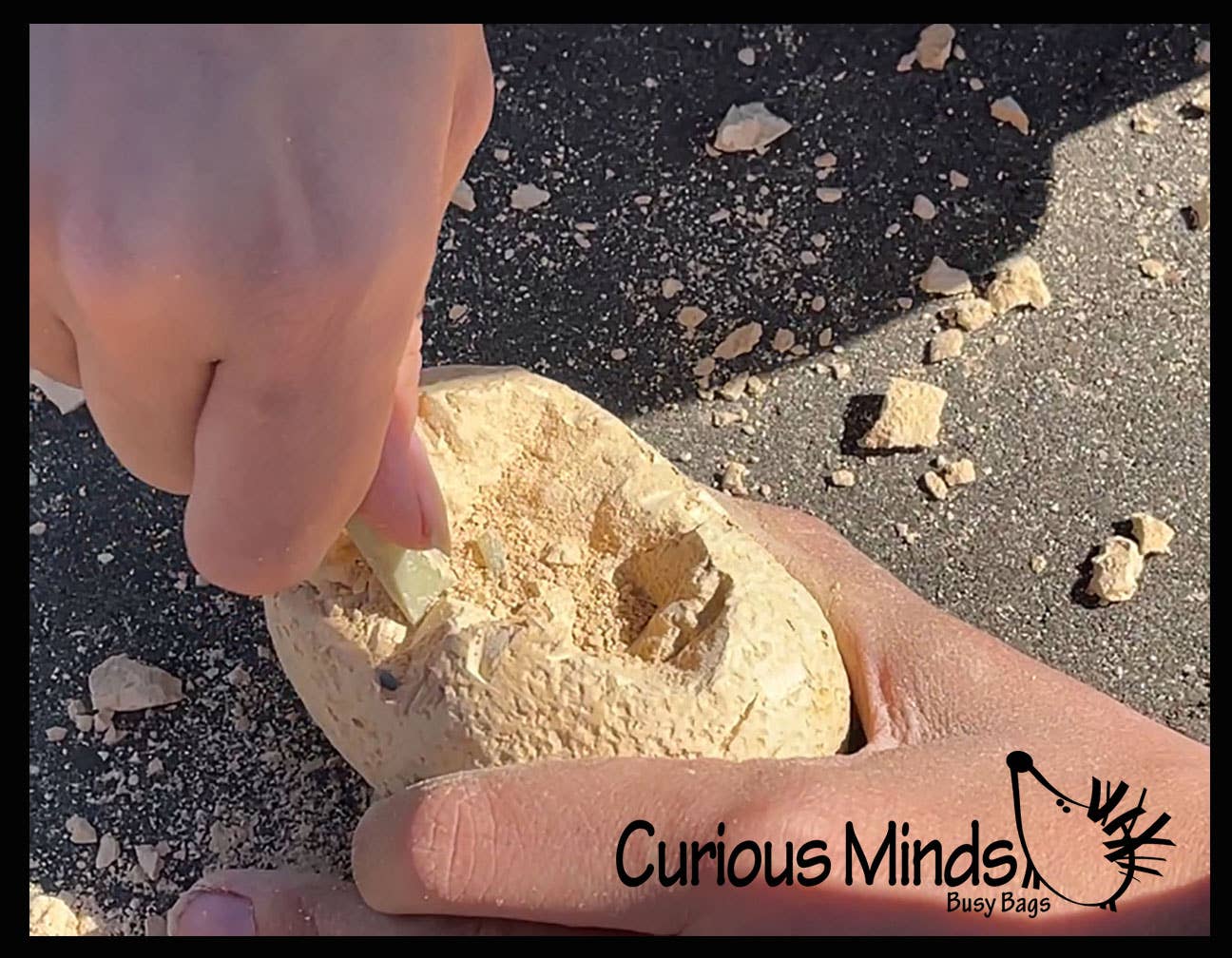 Curious Minds Toys – wholesale Figurleksak - Barn – 1 Dinosaur Fossil Excavation Gräv ägg - Upptäck Dino Fossil 10