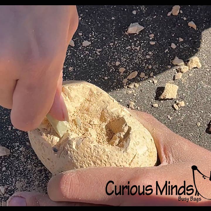 Curious Minds Toys - Wholesale Figurine toy – Kids - 1 Dinosaur Fossil Excavation Dig Eggs - Uncover Dino Fossil 10