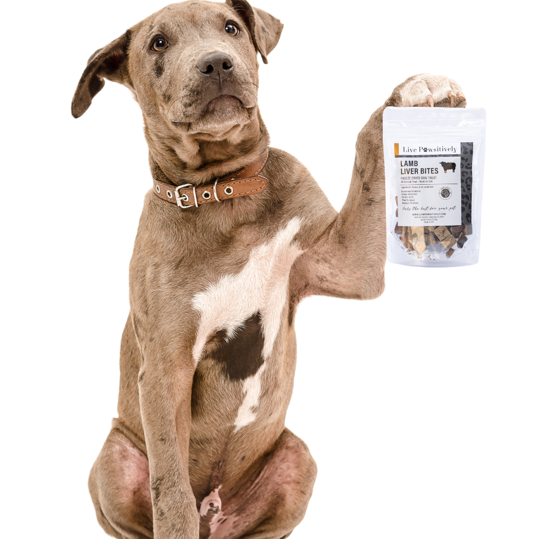 Live Pawsitive - Wholesale Pet Treats - Dog - Lamb Liver Bites5