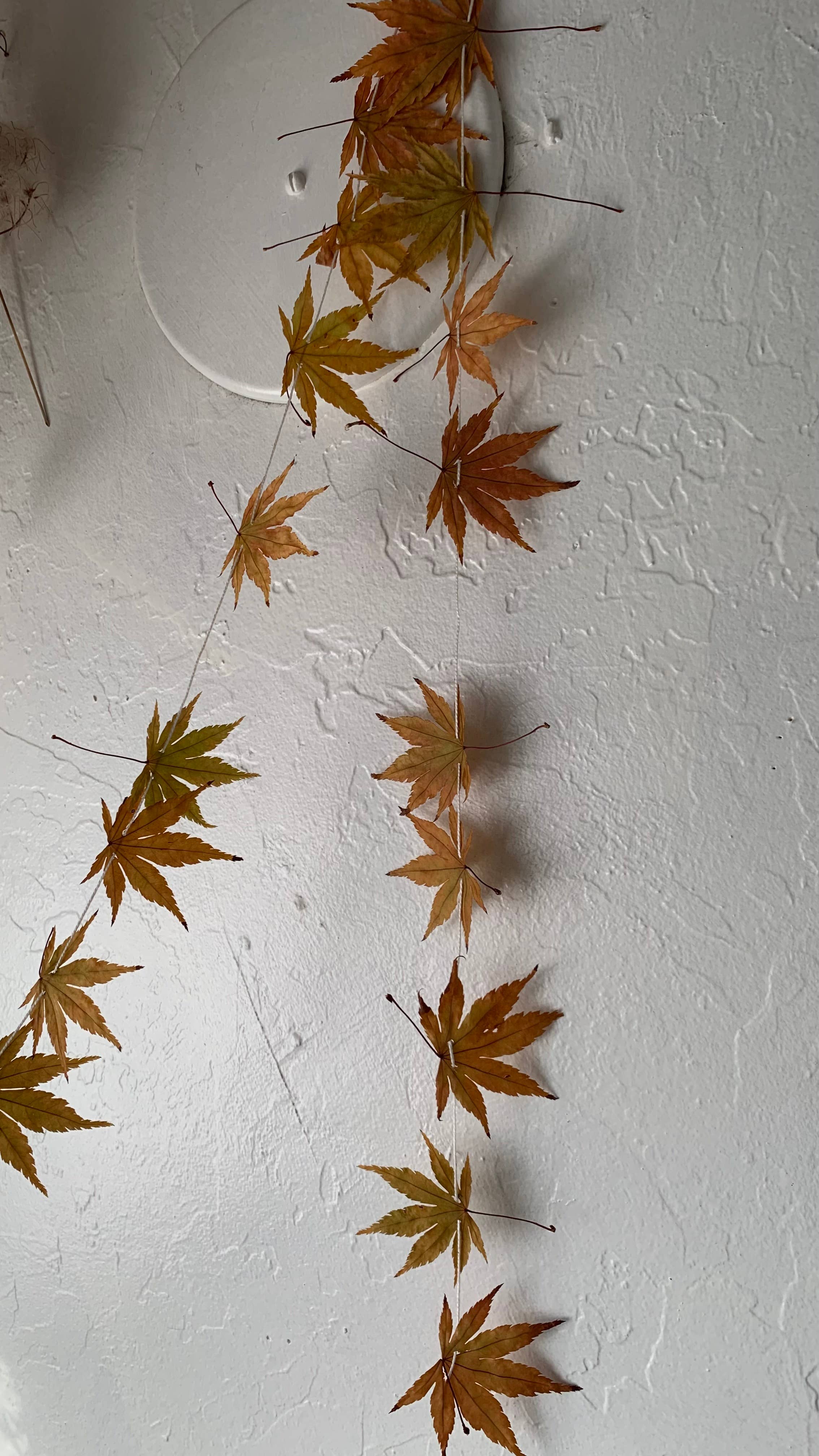 Twig and Snip - Wholesale Bunting/Garland - Dried Mini Japanese Maple Leaf Garland - Reds and Browns5