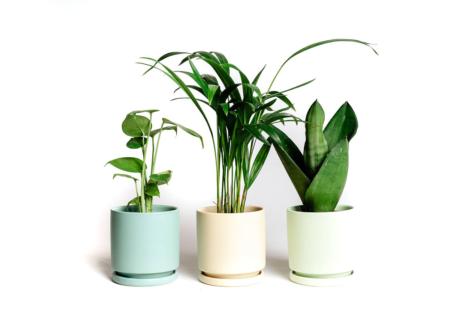 Momma Pots - Wholesale Plant Pot - 8.5" Gemstone Cylinder Pots with Water Saucers19