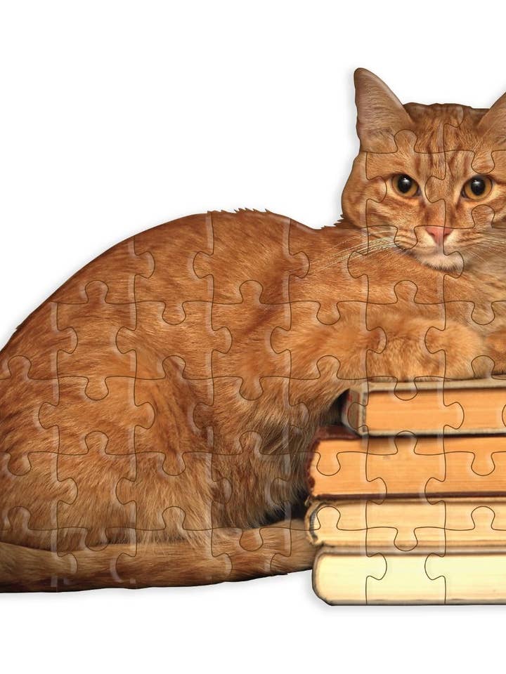 Cat Reader Jiggie Puzzle for wholesale by Gibbs Smith