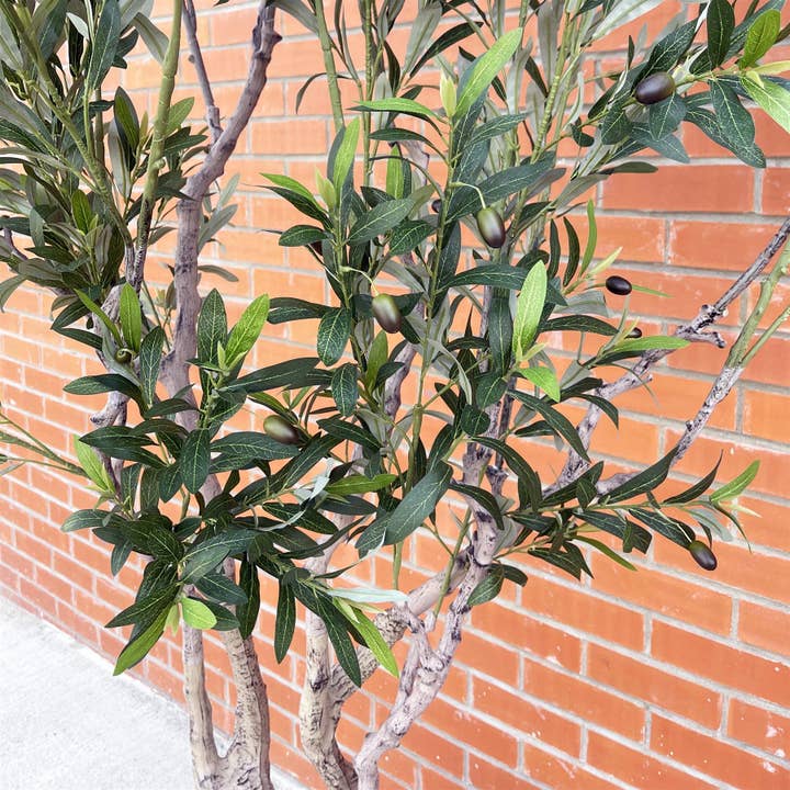Leaf Design UK LTD - Wholesale Artificial Plant - 250cm XXL Olive Tree2