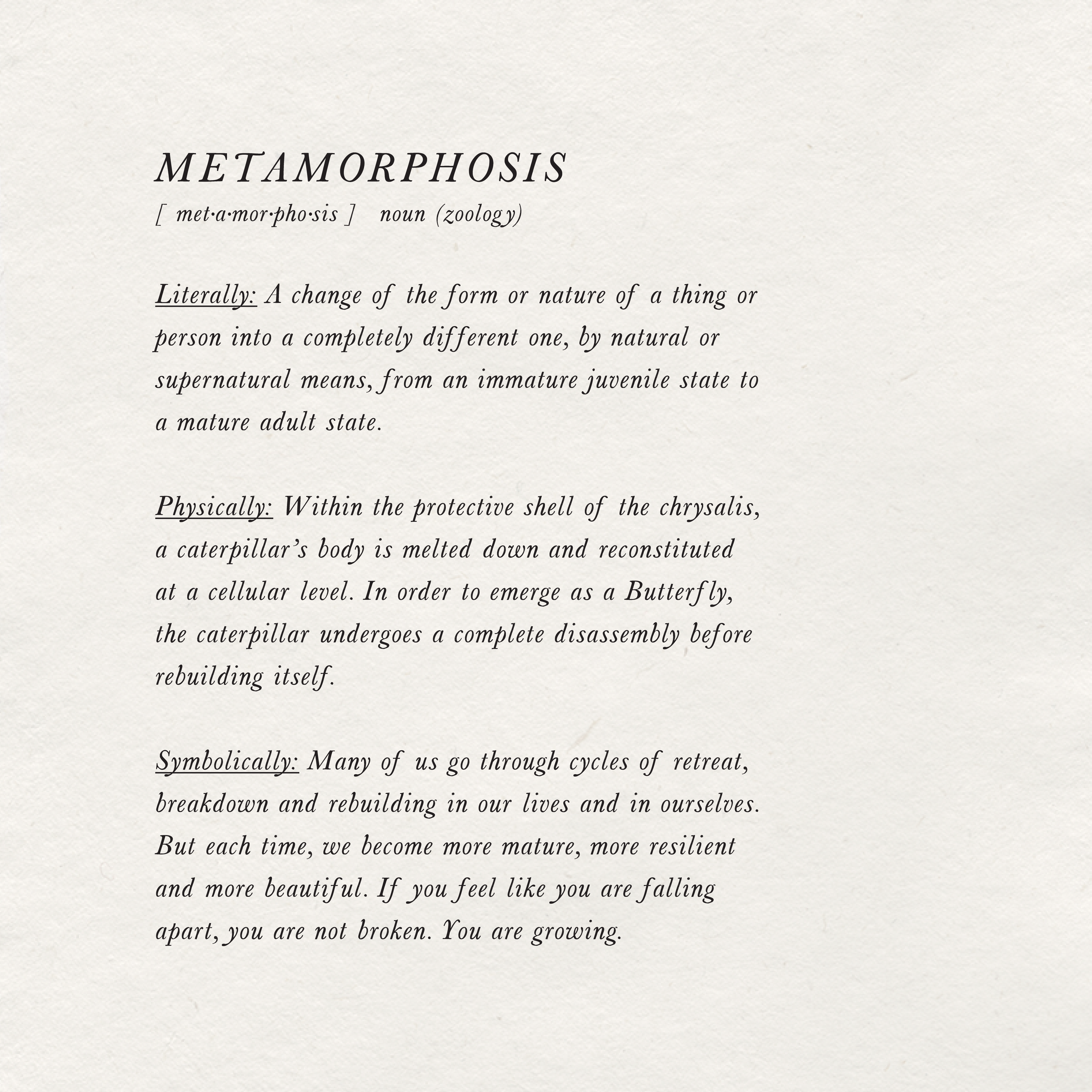 Ciarra Claire - Wholesale Art Print - *Hand Embellished* Swallowtail Butterfly Fine Art Print1