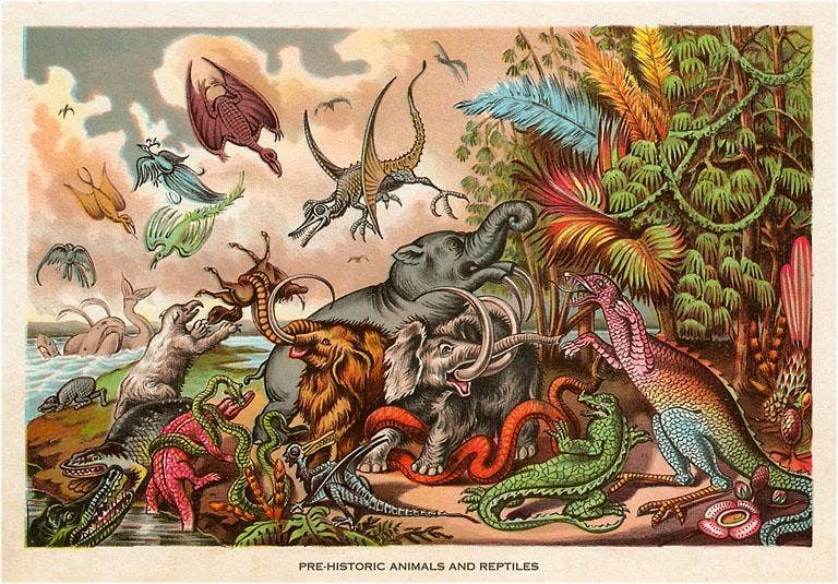 Found Image Press - Wholesale Stationery/Notecard Set - Greeting Card AN-401 Prehistoric Creatures0