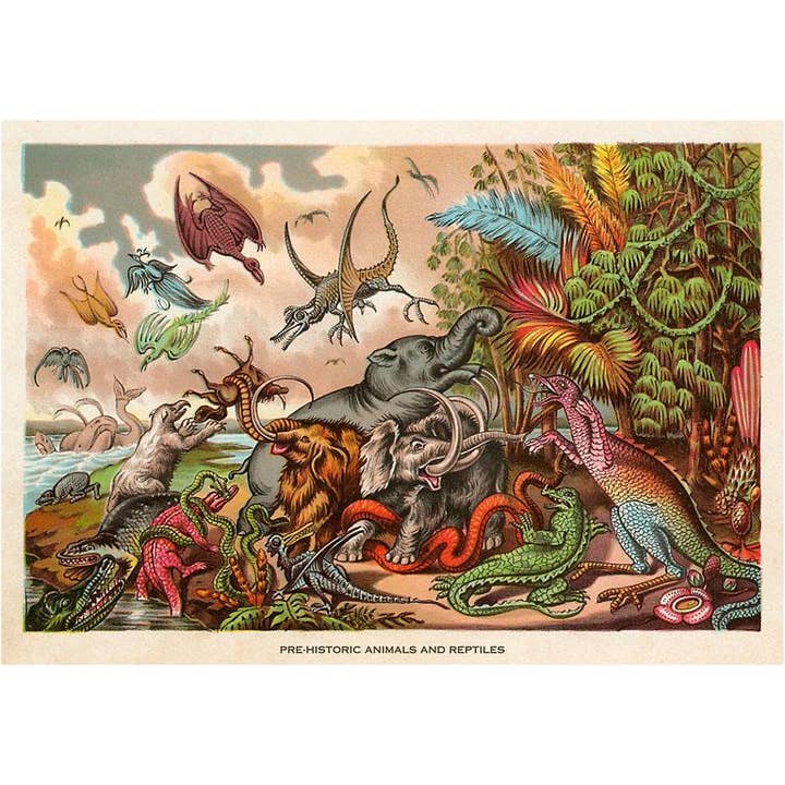 Found Image Press - Vente Assortiments de papeterie/cartes - Carte de vœux AN-401 Créatures préhistoriques