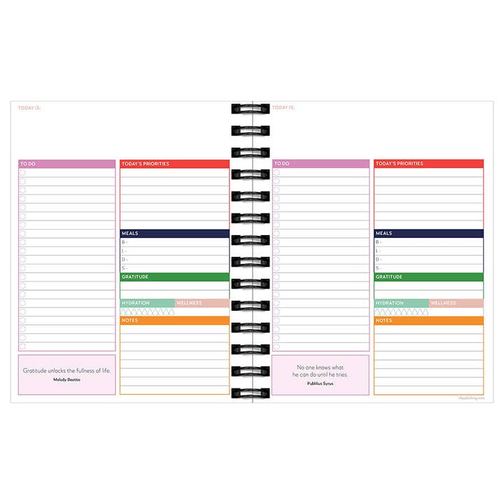 TF Publishing - Paper Goods - Wholesale Planner - Daily Monthly Best Life Luxe Undated Planner