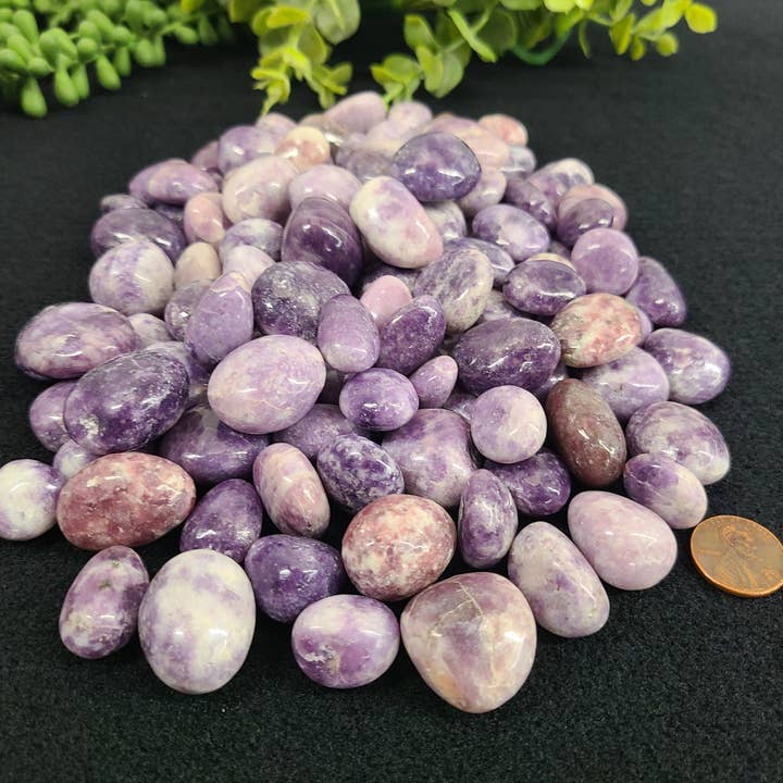 Meraki Gemstones - Wholesale Spiritual Stone/Crystal - Lepidolite Tumbled Stones (0.5kg/1.1lbs) 20-25mm2