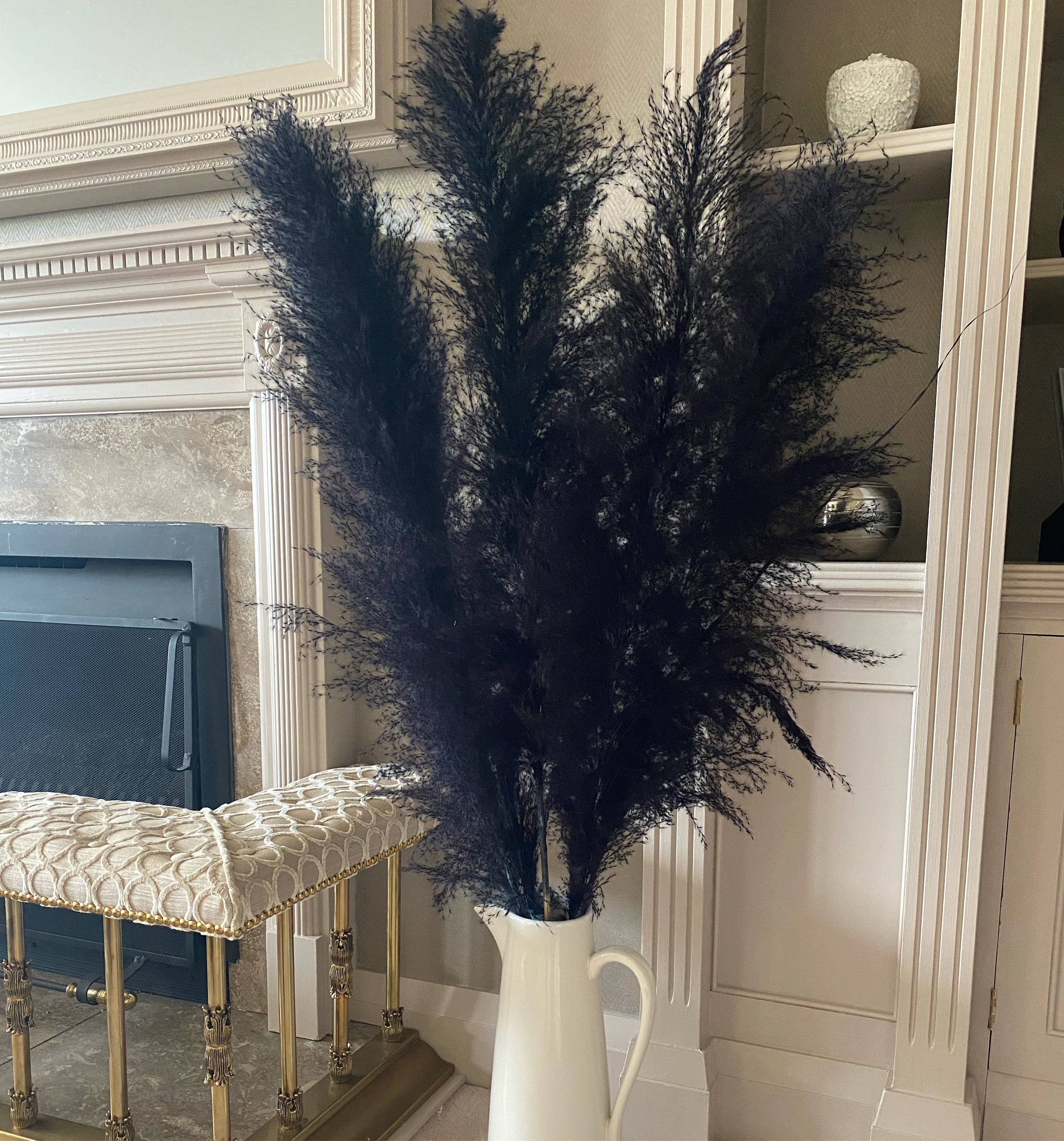 Wholesale Discount DARK NAVY / Black Pampas Grass Dried Flowers