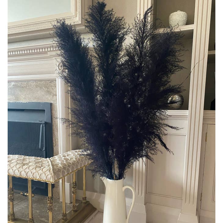 Wholesale Discount DARK NAVY / Black Pampas Grass Dried Flowers for your  store - Faire