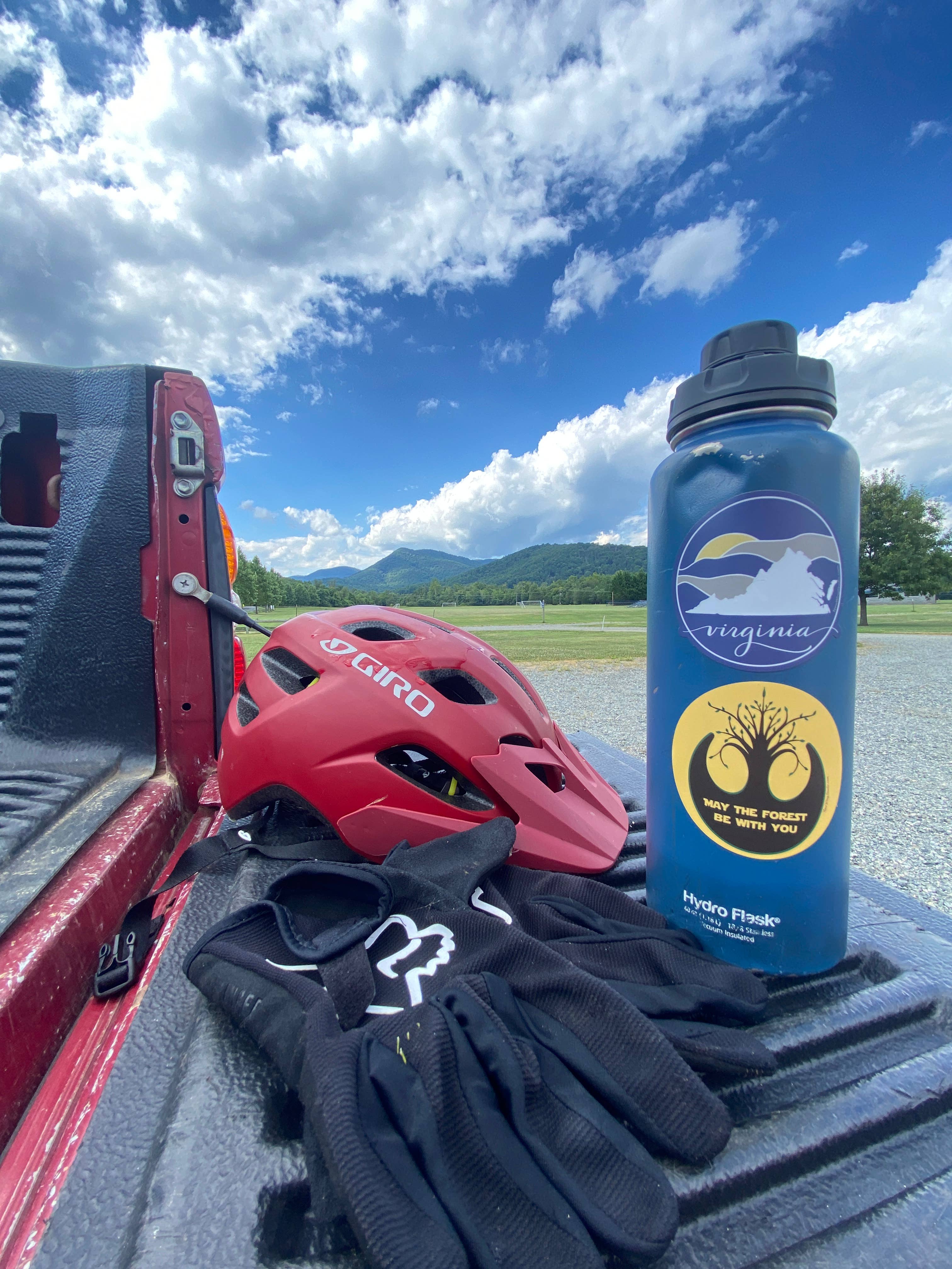 New Wing Studio - Wholesale Sticker - May The Forest Be With You STICKERS1