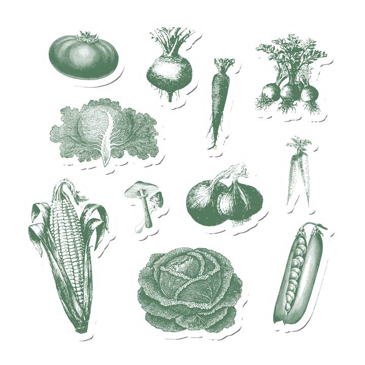 Suteka - Wholesale DIY Craft Kit - Vintage Harvest2