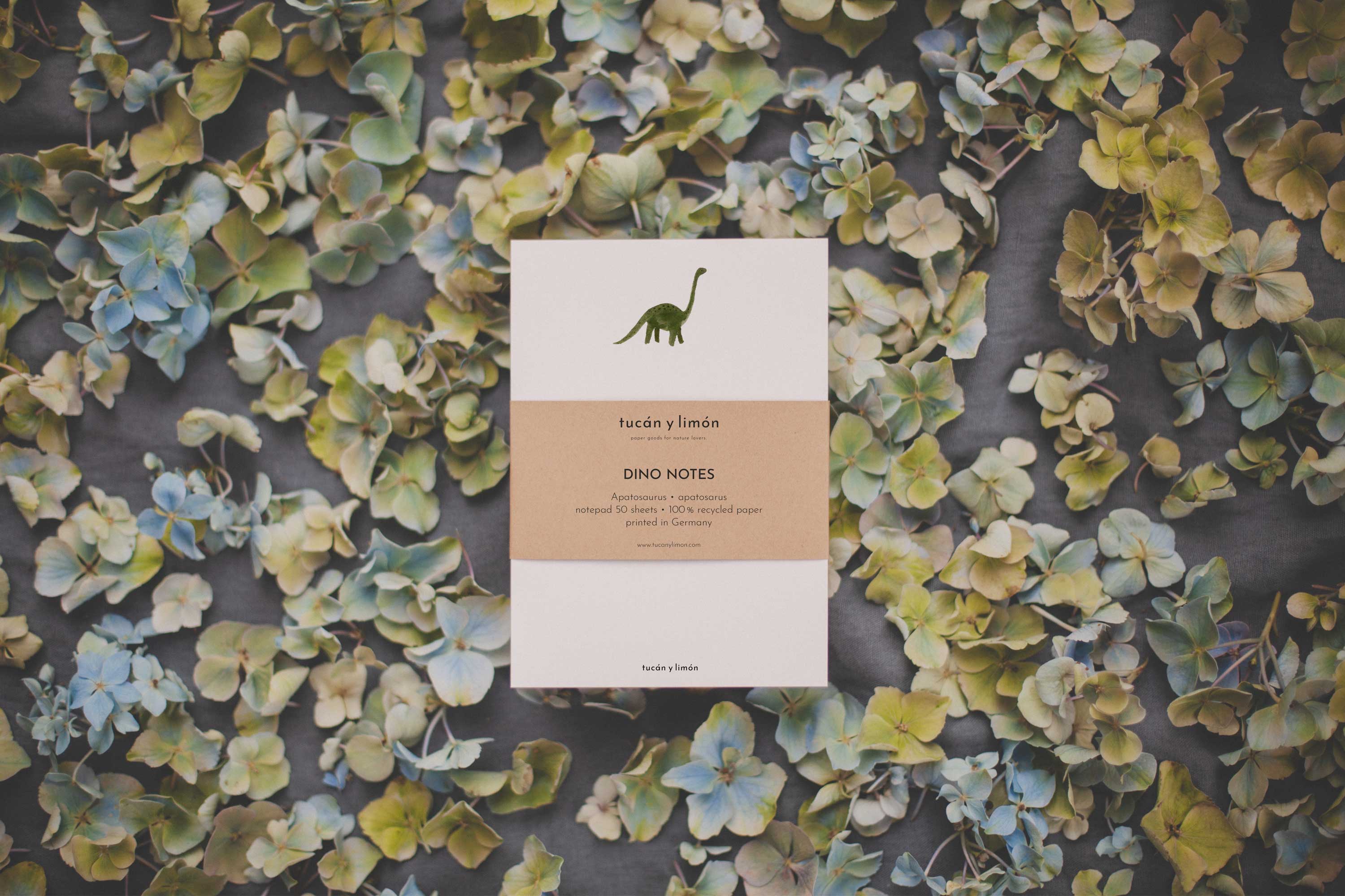 tucán y limón - Wholesale Notepad - DINO NOTES Apatosaurus | Notepad DINA61