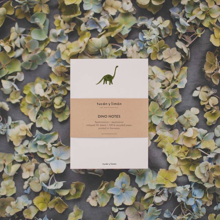 tucán y limón - Wholesale Notepad - DINO NOTES Apatosaurus | Notepad DINA61