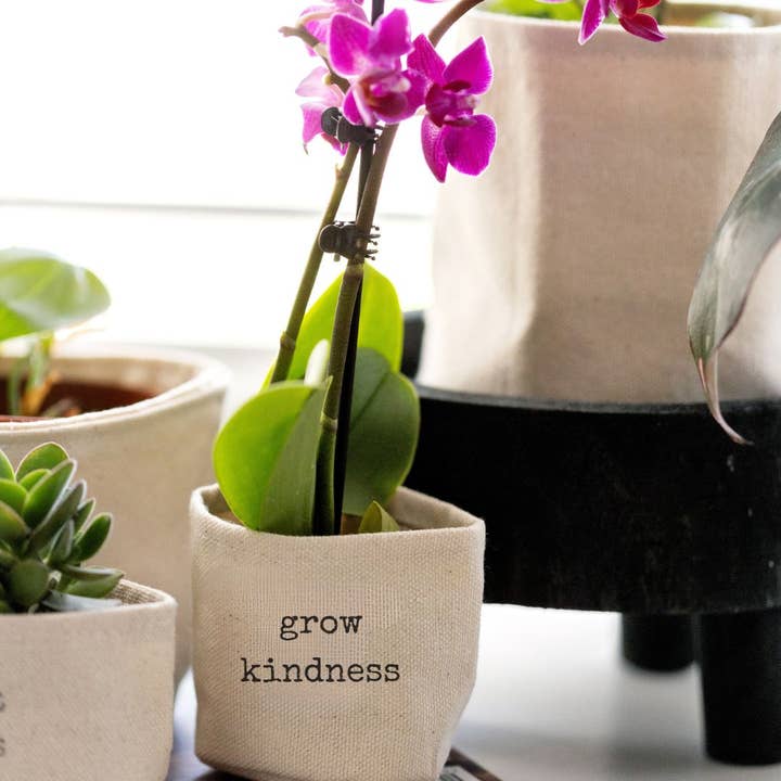 cache-pot en toile Grow Kindness de 2 po pour la vente par Leaf and Root Co.