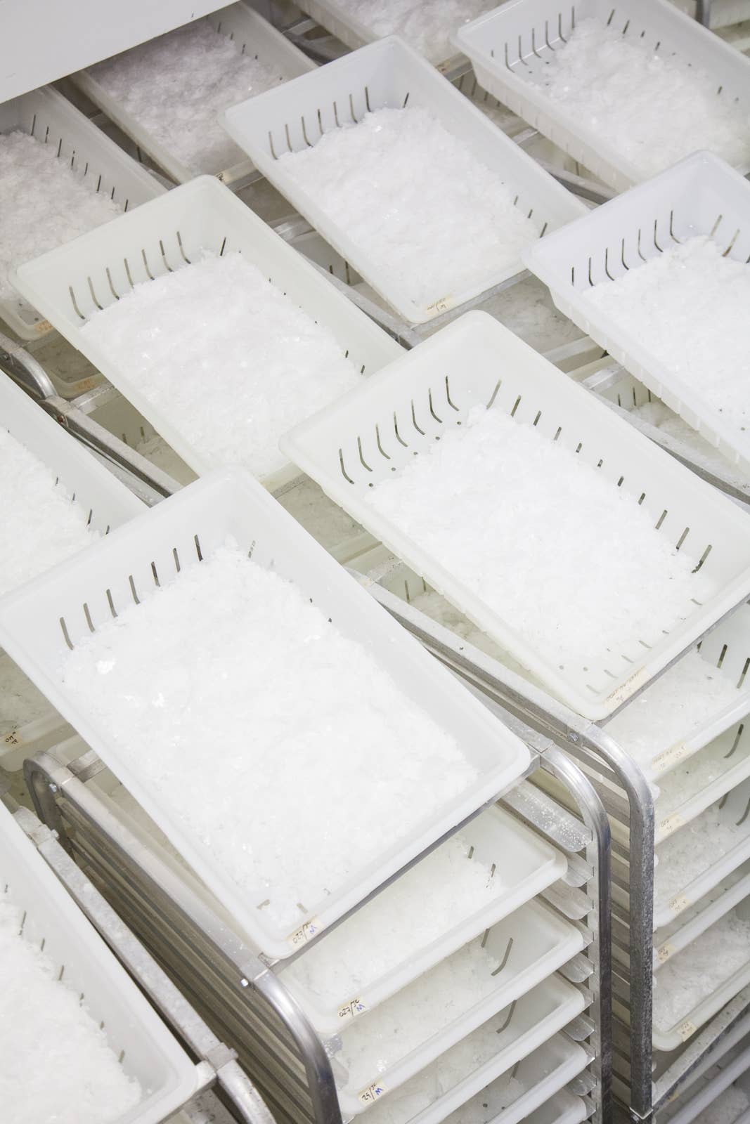 Jacobsen Salt Co. - Wholesale Salt - Pure Kosher Sea Salt - 1lb Canister7