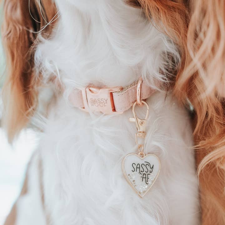 SASSY WOOF - Wholesale Pet Collar - Dog - Dog Collar - Pinot7