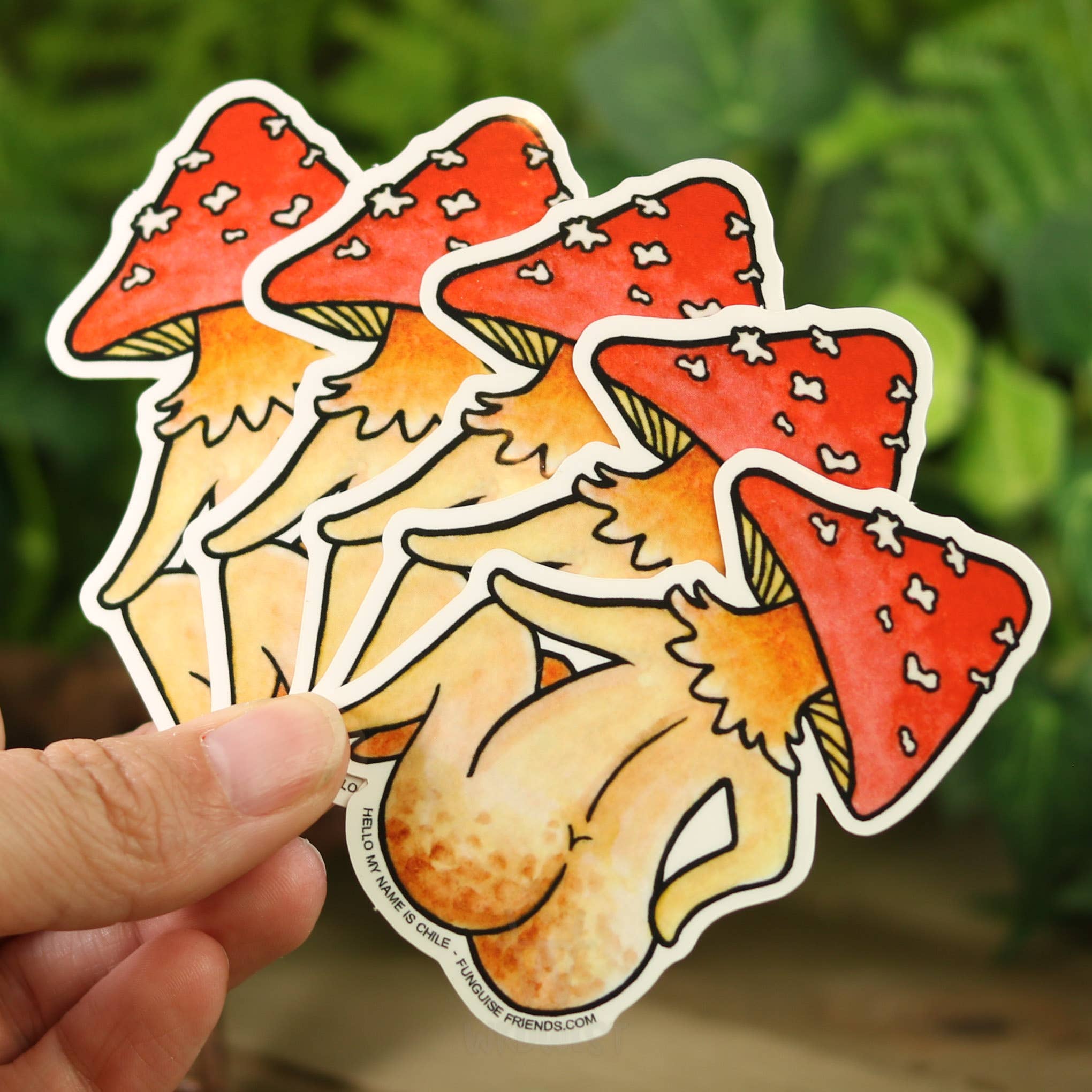 Funguise Friends by WkdWest - Wholesale Sticker - Vinyl Funguise® Sticker - Amanita Chile2