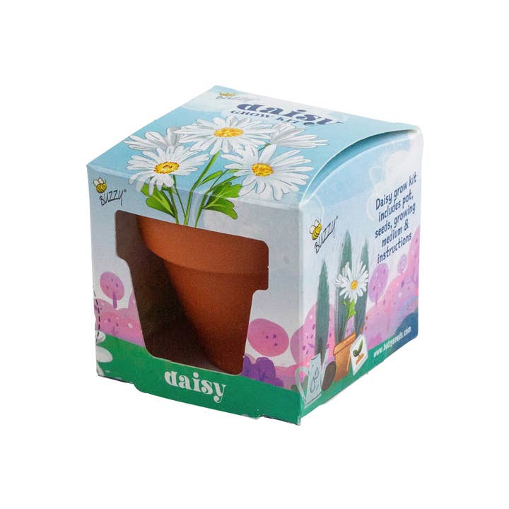 Buzzy, Inc. - Wholesale Plant Seeds - Buzzy Seeds Mini Terracotta Pots - Daisy Grow Kit