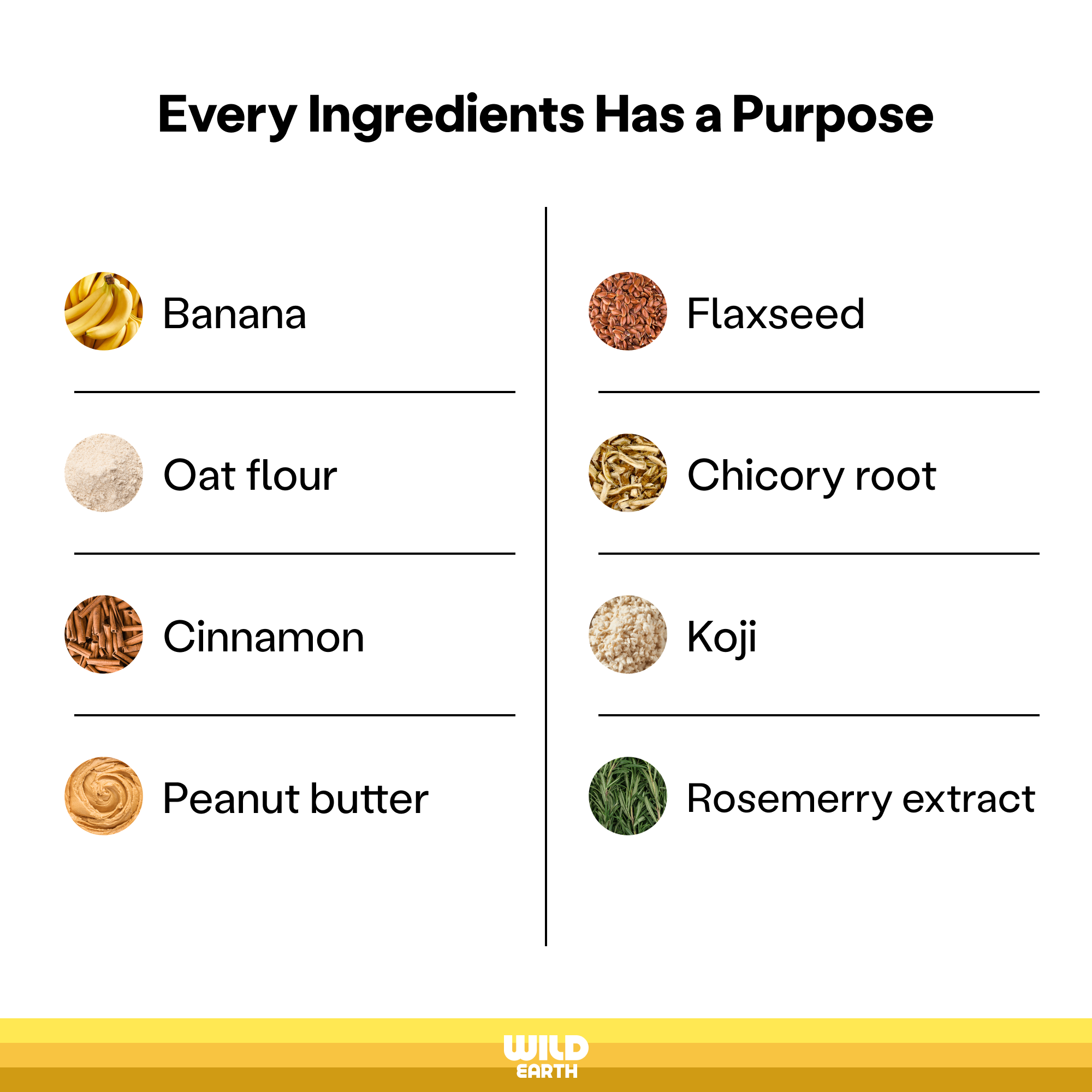 Wild Earth – snacks e guloseimas - Cão por atacado – Mimos para Cão Superfood Com Koji, Banana Canela (5oz)1