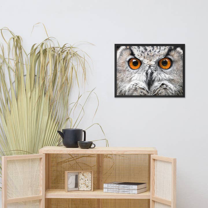 Pipa Wall Art & Home Decor - Wholesale Art Print - Close-up Yellow Owl Eyes Animal Wildlife Framed Wall Art4