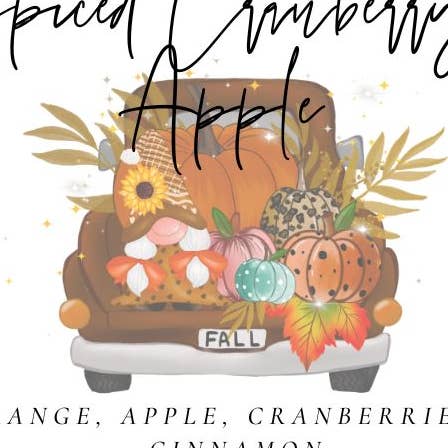 Fall Candle Scents - Farm Truck Label for wholesale by Cedar Mountain Candle