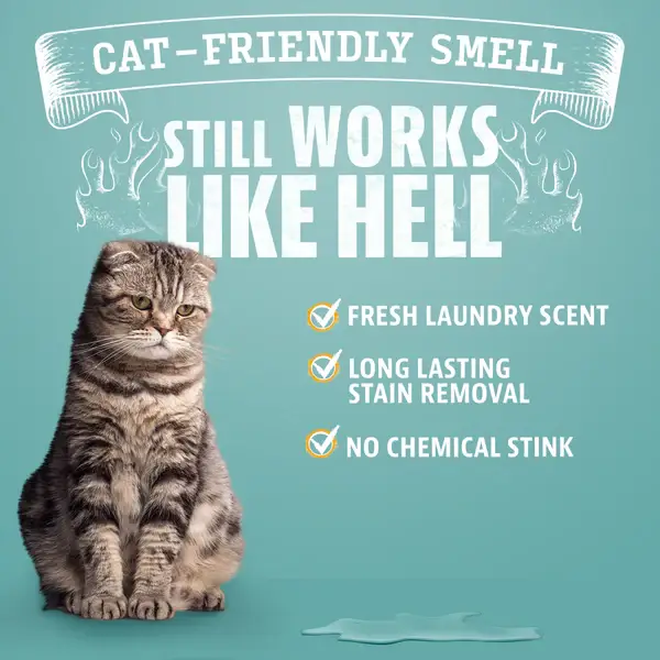 Angry Orange - Wholesale Stain Remover - Angry Orange Enzyme Stain Remover -  Citrus (Case of 4)6