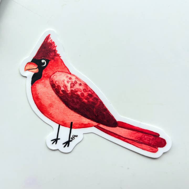 Owlfeathers Watercolor - Wholesale Sticker - Bird Cardinal Vinyl Sticker – Red Songbird Nature Art0