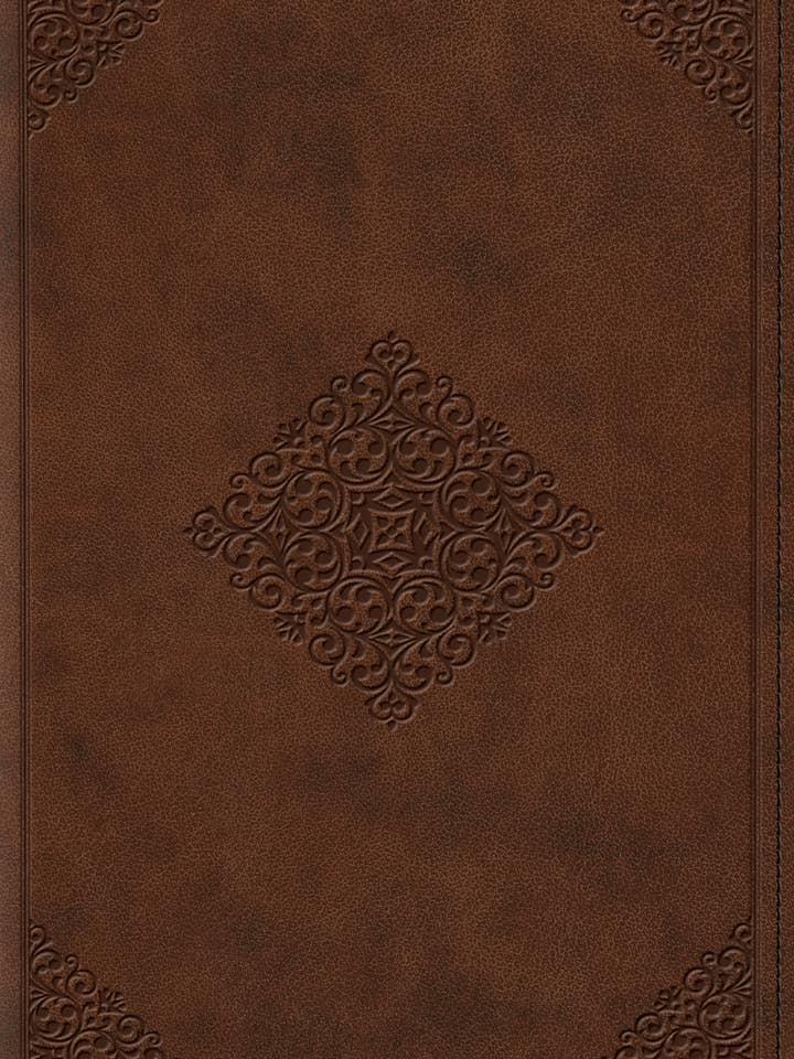 ESV Study Bible, Pers. Size (TT, Saddle) for wholesale by Crossway