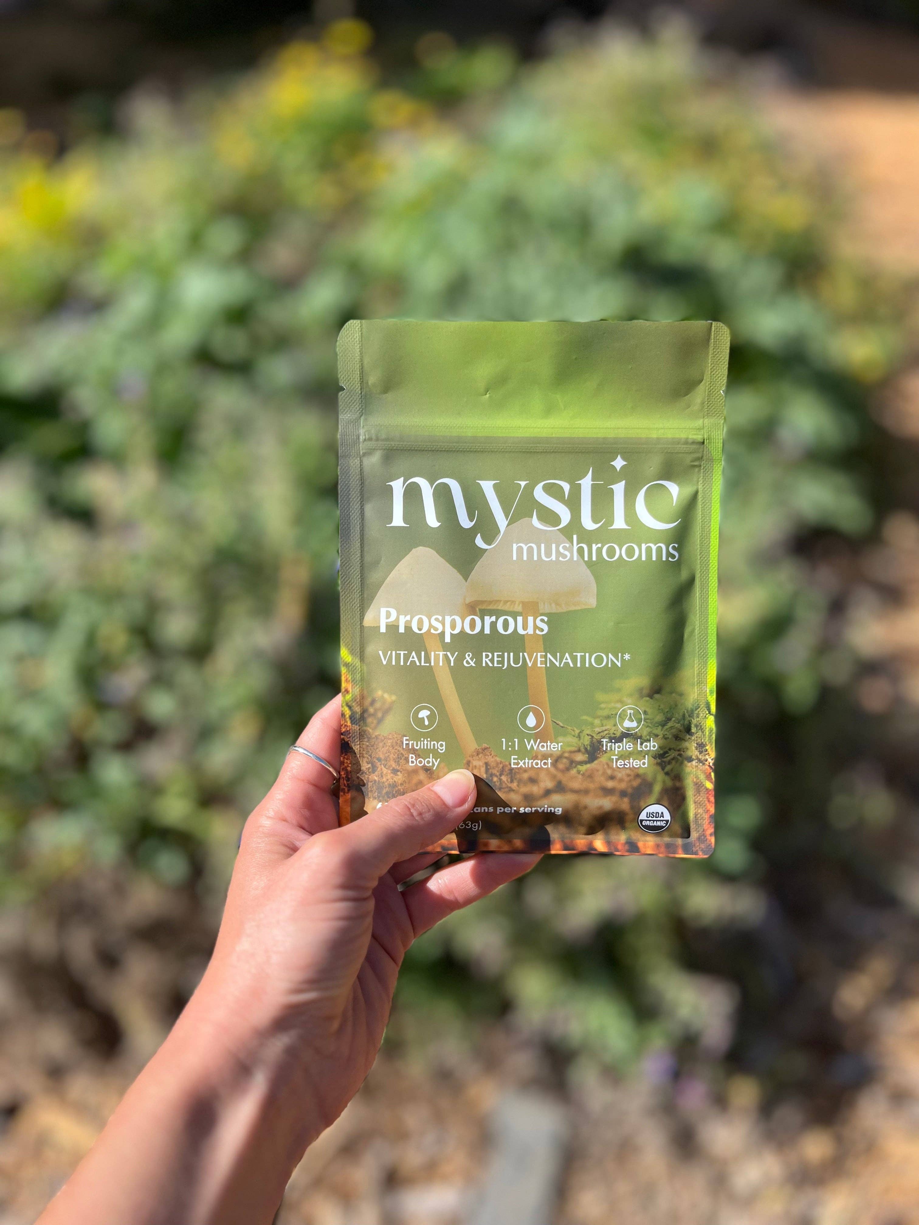 Ora Cacao - Wholesale Protein/Superfood Powder - ProSporous - Cordyceps, Lion’s Mane, Poria & Tremella2