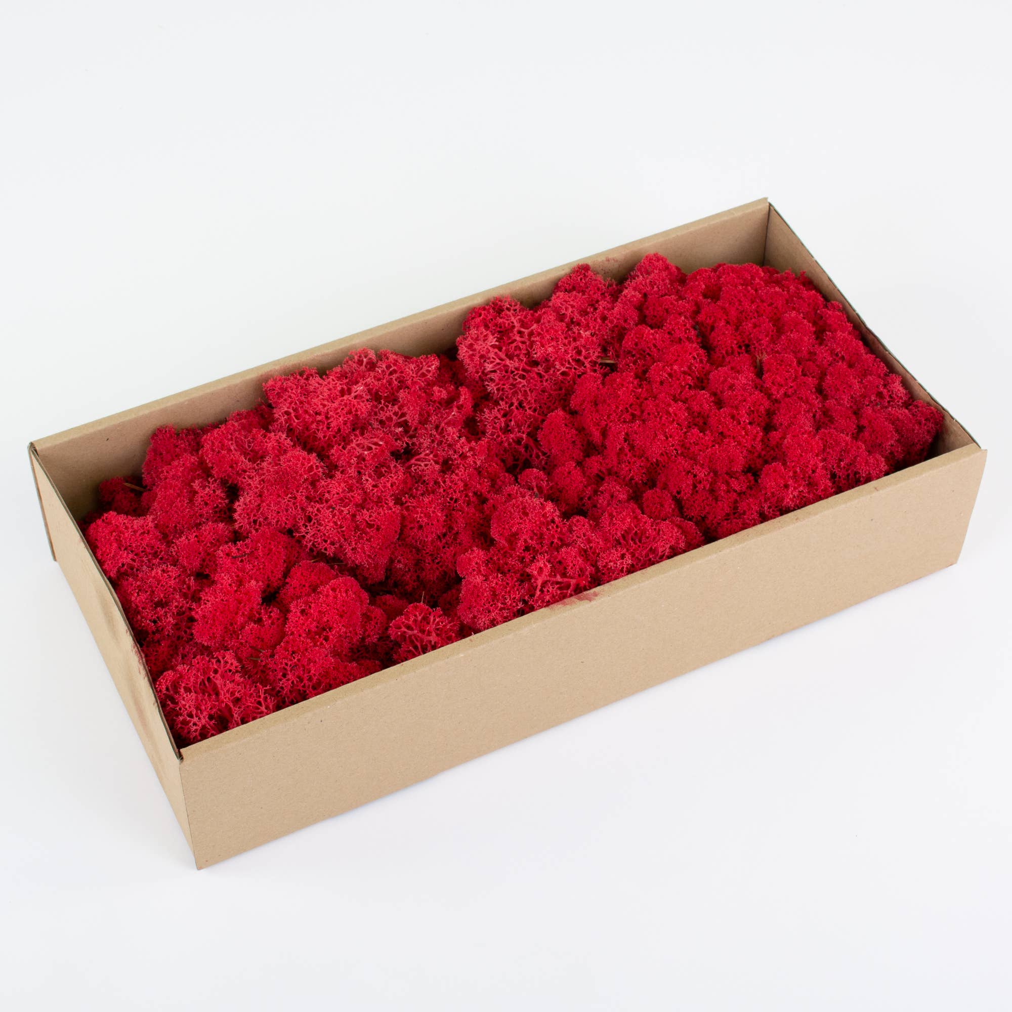 Dutch Flower Lady - Wholesale Dried/Pressed Flowers - Preserved Reindeer Moss 6 choose from colors10