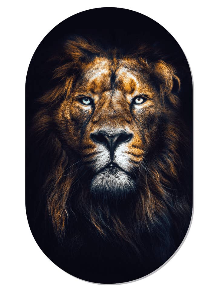 Muurovaal lejon ansikte för wholesale av Label2X B.V.