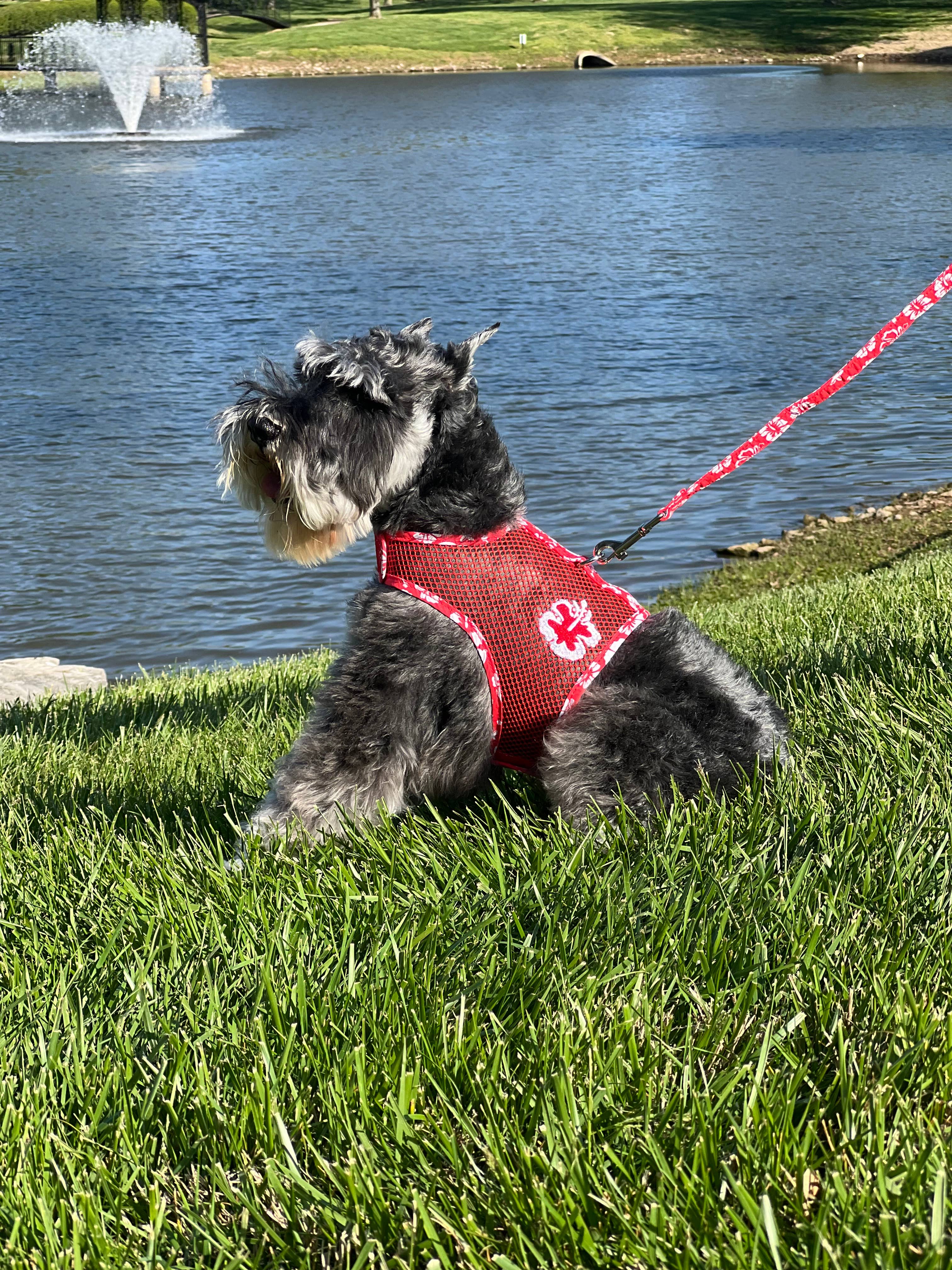 Doggie Design - Vendita all'ingrosso Pettorina - Cani - Pettorina per cani Cool Mesh - Hawaiian Hibiscus Red3