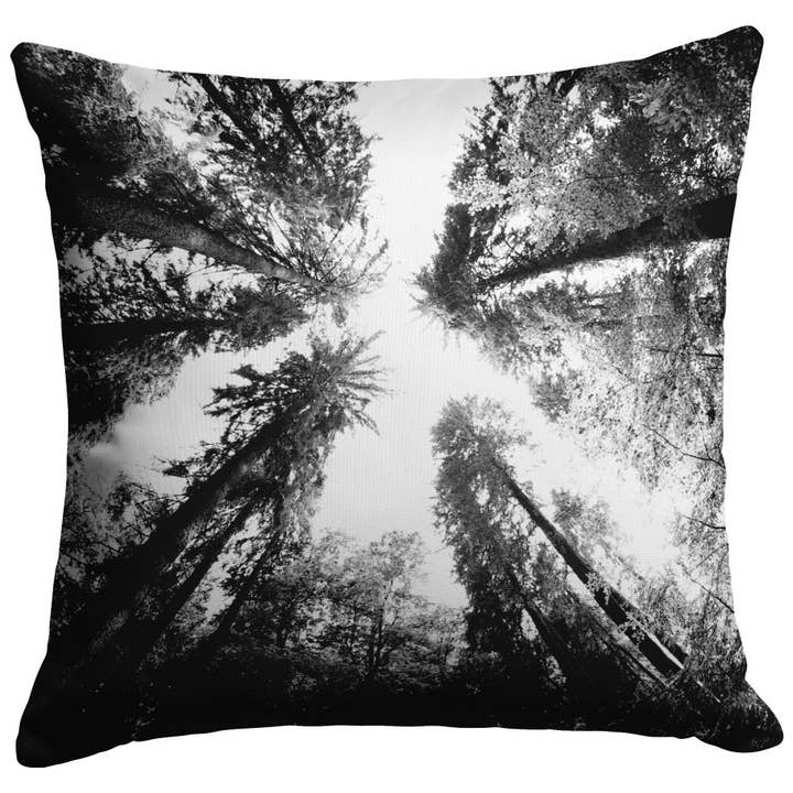 "Tall Trees" Square Throw Pillow | Rustic Nature Photography for wholesale by Bleak Boutique