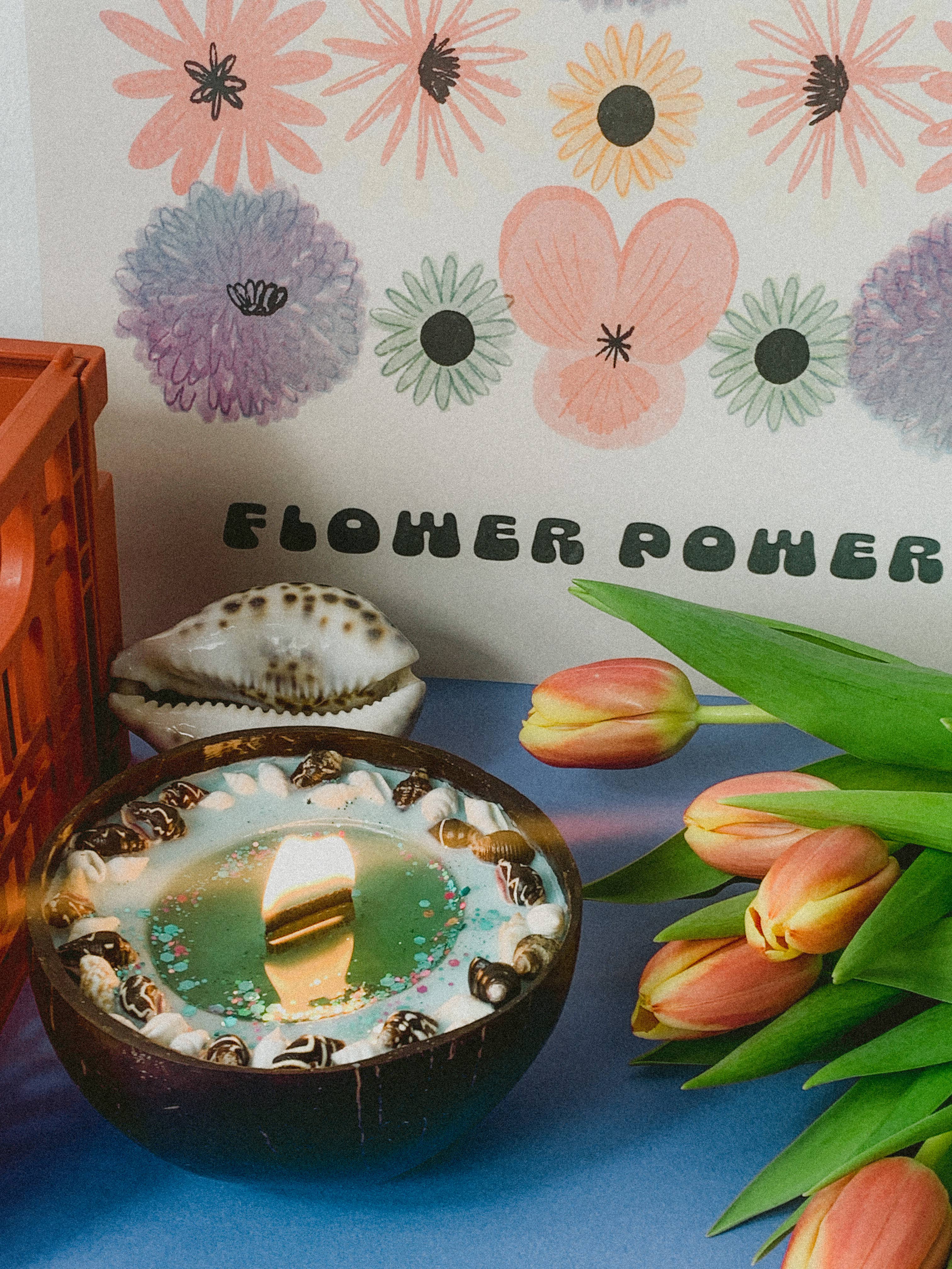 Surfing Road - Wholesale Jar/Filled Candle - Bougie Ocean breeze4