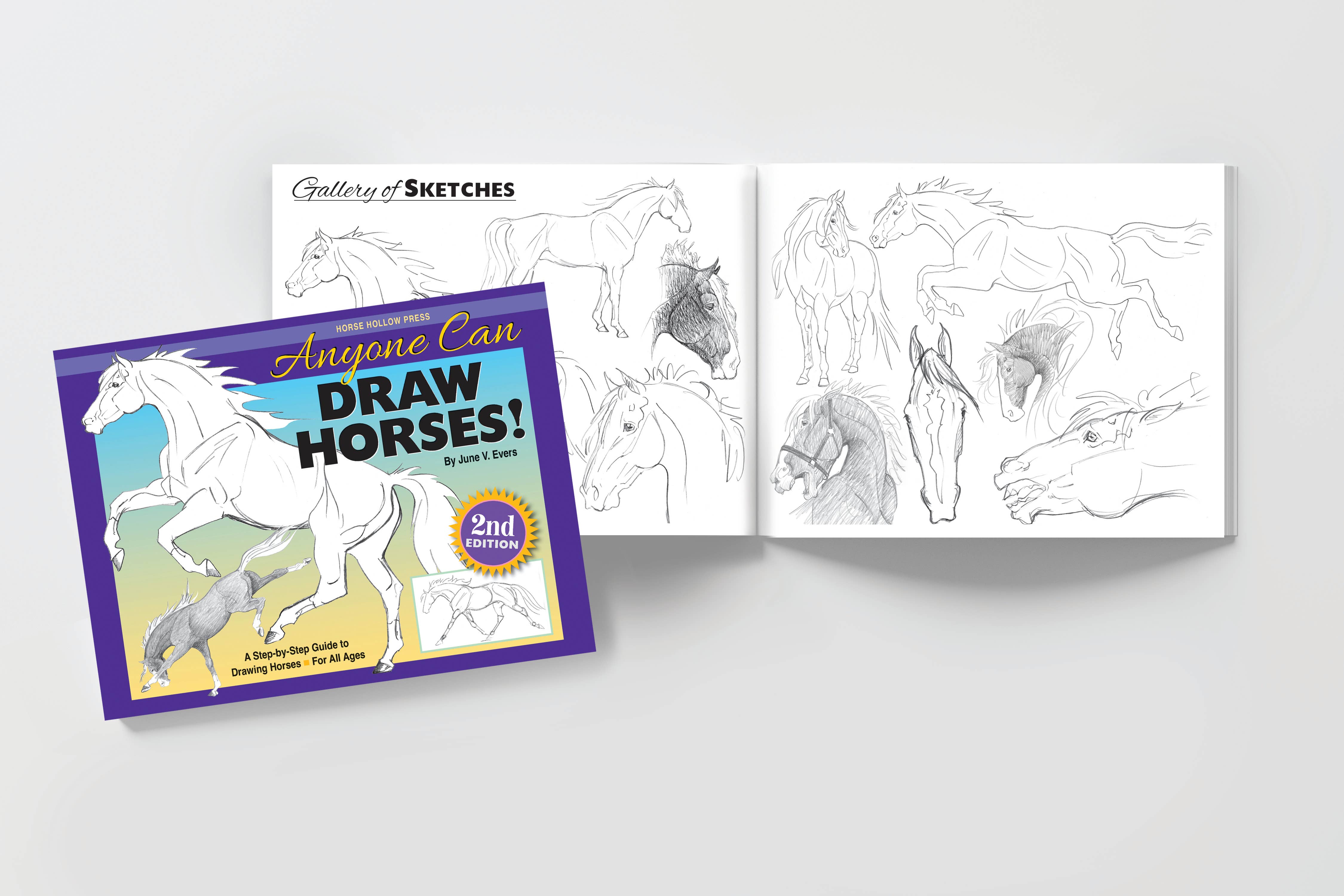 Horse Hollow Press / Pretty, Funny, Snarky Cards & Stickers - Wholesale Coloring & Activity Book - Adult - Art Book Horse Equestrian / Anyone Can Draw Horses / All Age17