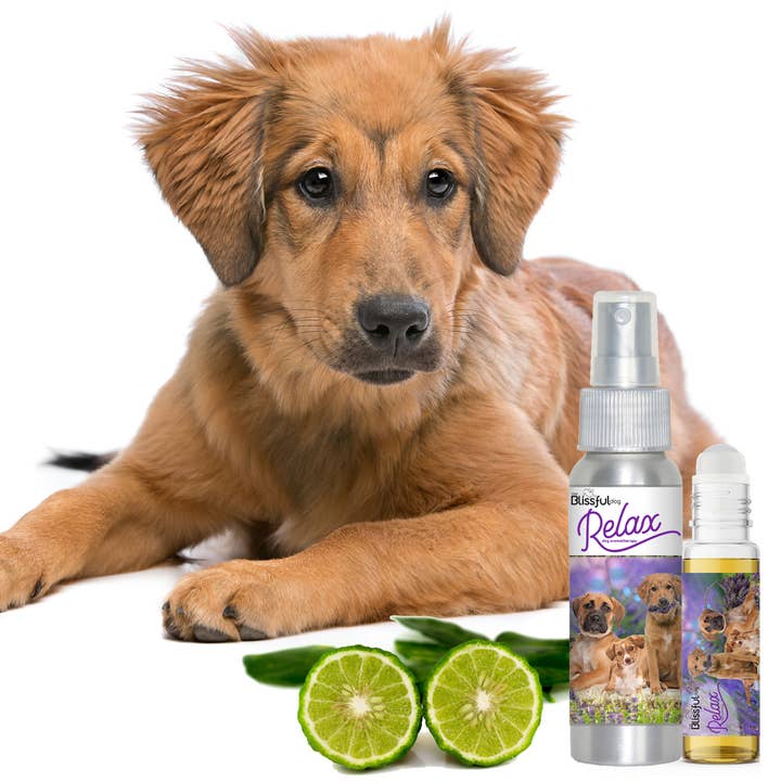 The Blissful Dog – Großhandel Haustierspray – Hund – Relax Dog Aromatherapie Beruhigungsspray & Roll-on
