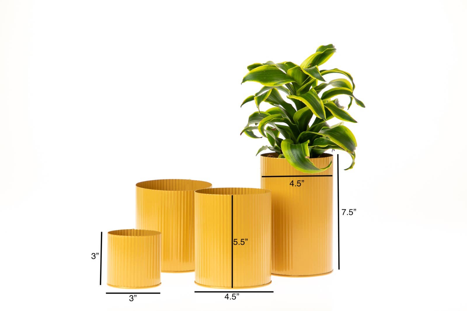 UNIMIX FLORAL - Vendita all'ingrosso Vasi - Vaso in latta zincata per matrimoni, eventi e uso quotidiano 4,5x7,5"5