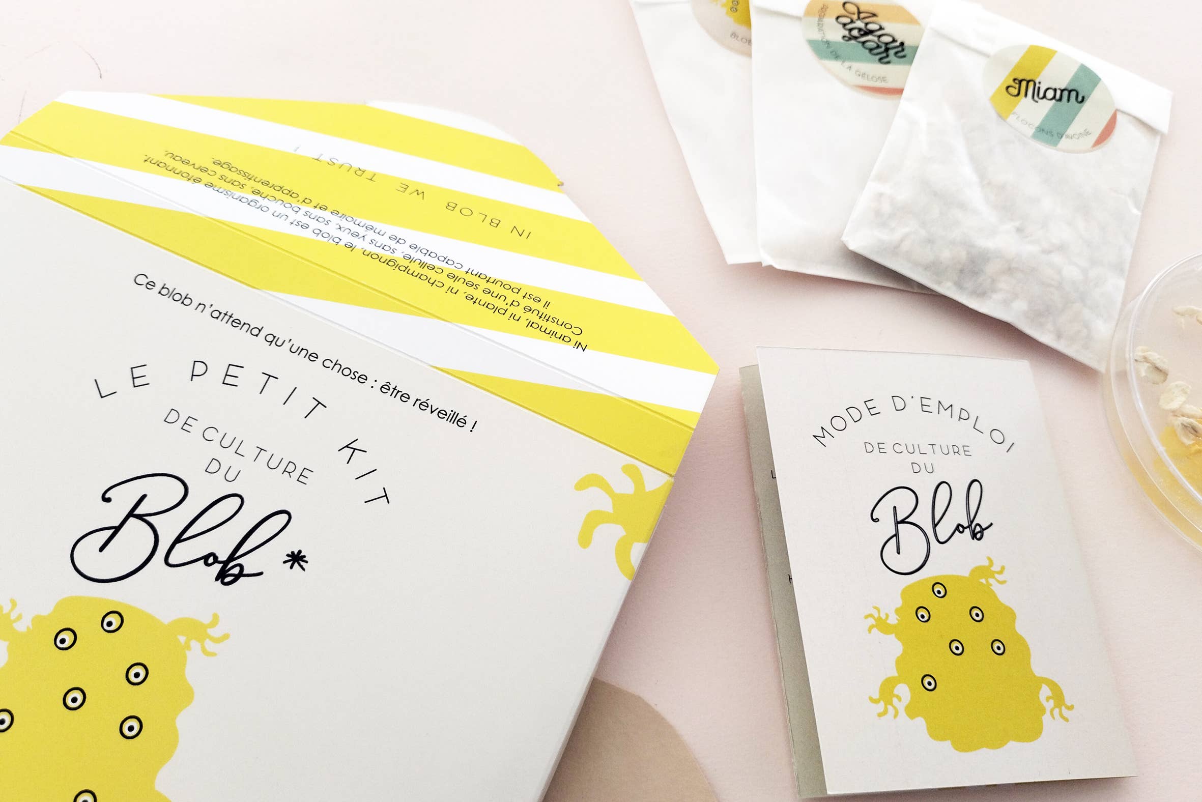 Pamela Loops - Wholesale DIY Craft Kit - Kids - Kit de culture de Blob5