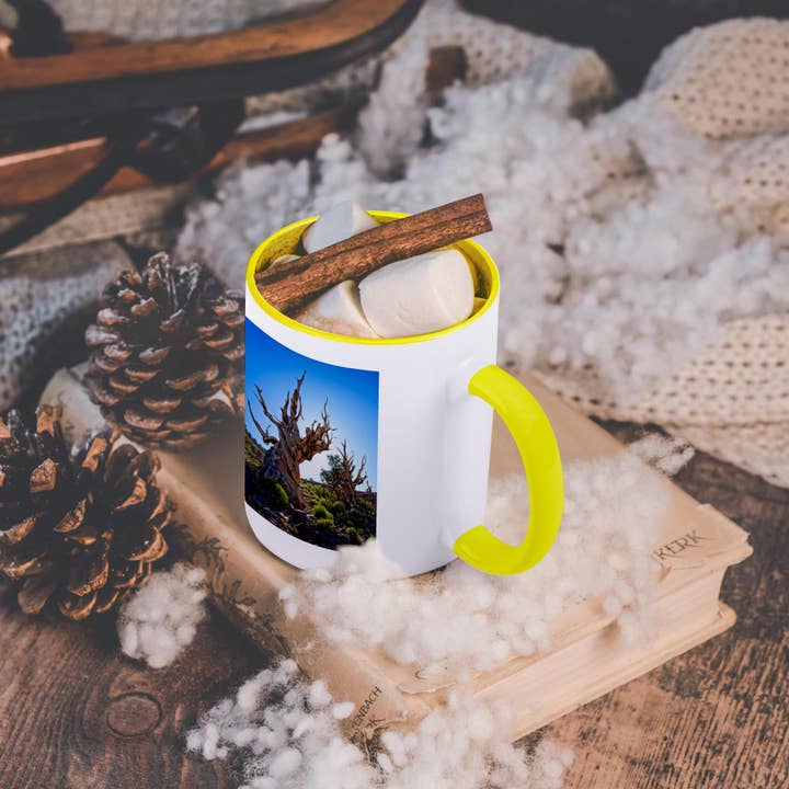 3dRose - Wholesale Coffee Mug - 3dRose, Two Backlit Ancient Pines in Inyo National Forest, Mug5
