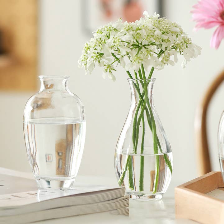 Klar (blanding) Hvide glasvaser til små blomster, enkel stil, klare for engroshandel på Faire2