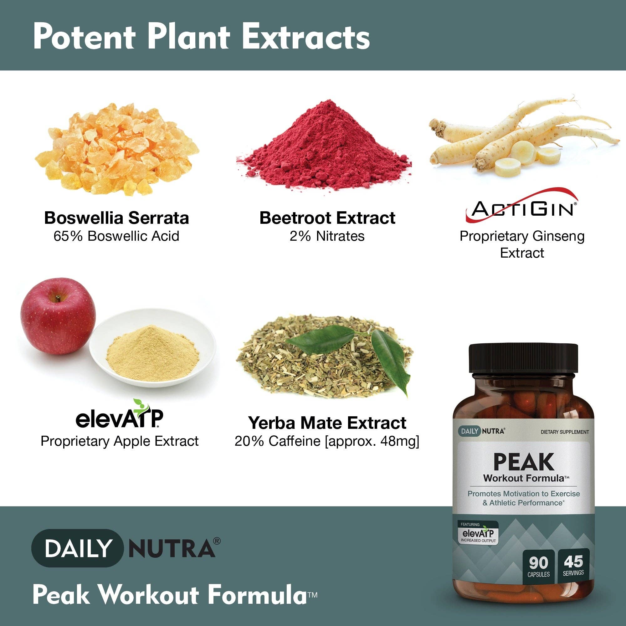 Daily Nutra – wholesale Oral supplement/vitamin – PEAK Workout Formula2