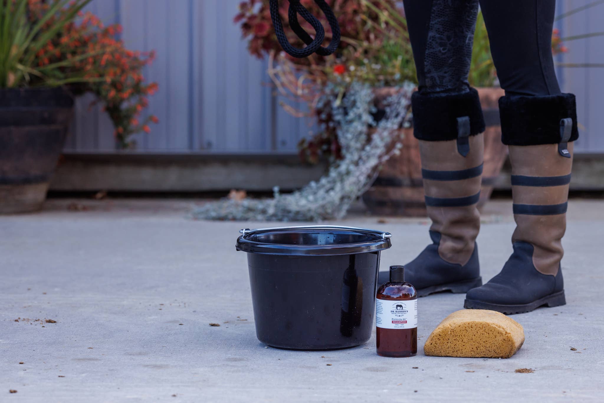 Dr. Hansen's Equine Apothecary - Vente Après-shampoing/produit de soin pour cheval - Shampooing Formula 445