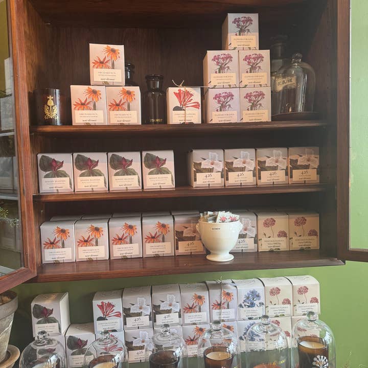 The Quiet Botanist - Wholesale Jar/Filled Candle - 426 Candle - The Scent of our Store.6