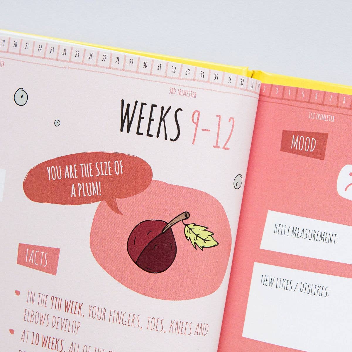 Little Pickle Memories - Wholesale Dagboek/agenda - Zwangerschap - Zwangerschapsdagboek - Bump To Baby Memory Book voor aanstaande ouders6